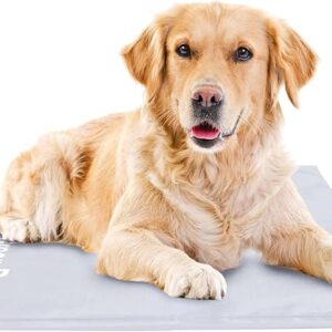 dog Mat